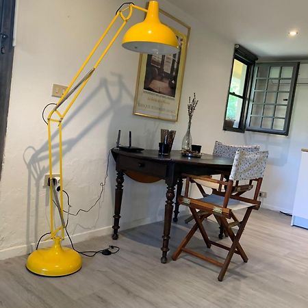 Sauro 43 Apartment Пиза Екстериор снимка