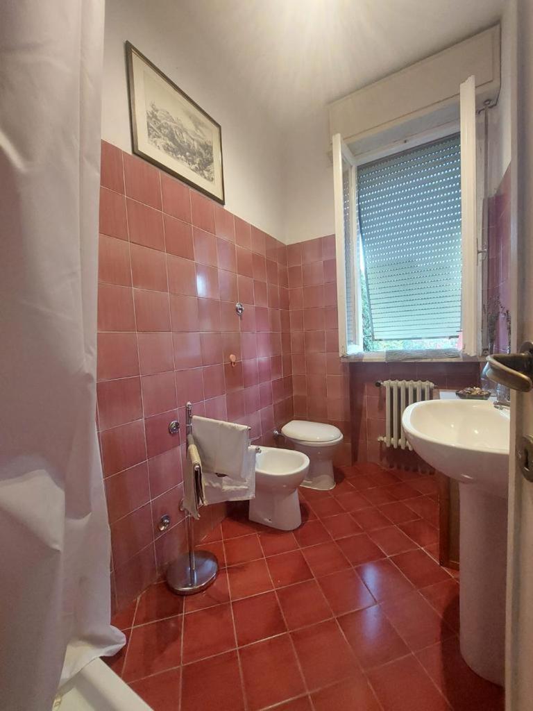 Sauro 43 Apartment Пиза Екстериор снимка